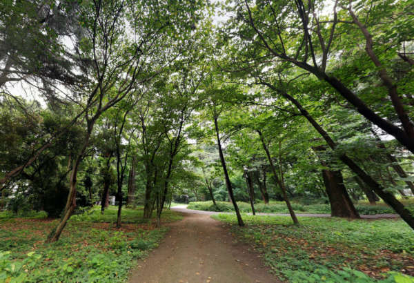 セザール新江古田-江古田の森公園｜江古田の森公園です。
