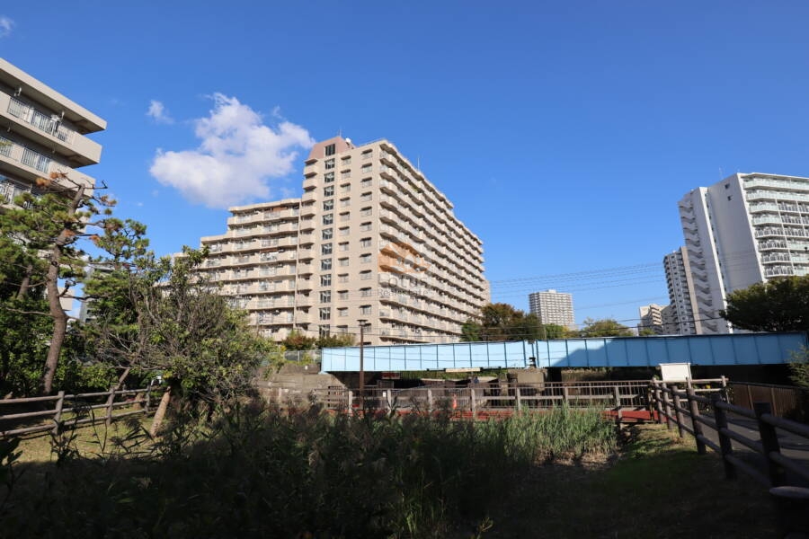 コープ南砂外観1｜コープ南砂は１４階建ての大型マンションです。南側に仙台堀川公園があり自然を感じることができます。