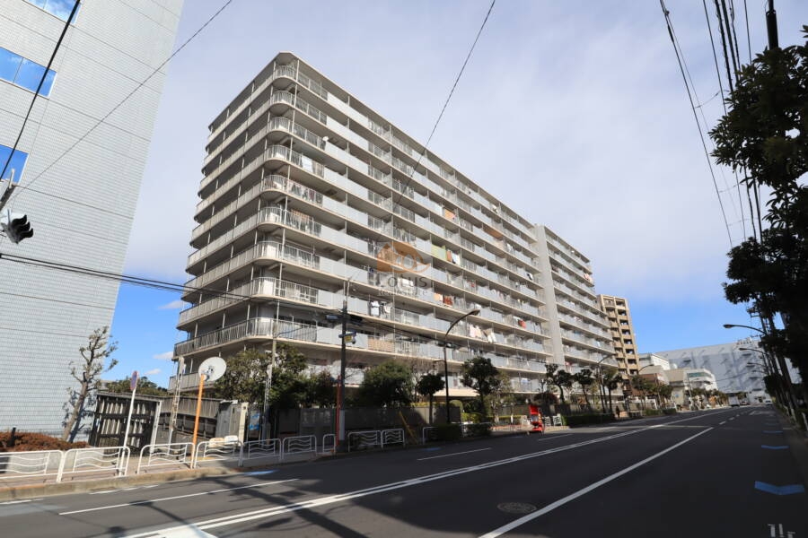 ハイラーク木場外観1｜ハイラーク木場は昭和５８年築、１１階建ての大規模マンションでです。