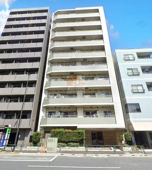 ミオカステーロ住吉南外観６｜ミオカステーロ住吉南は平成16年築の10階建てマンションです。