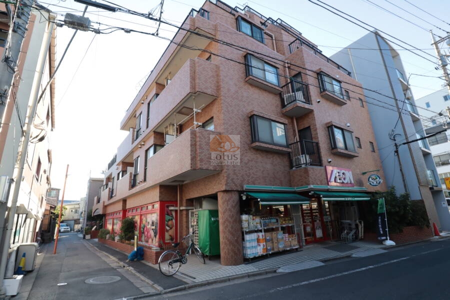 ライオンズマンション新小岩南外観1