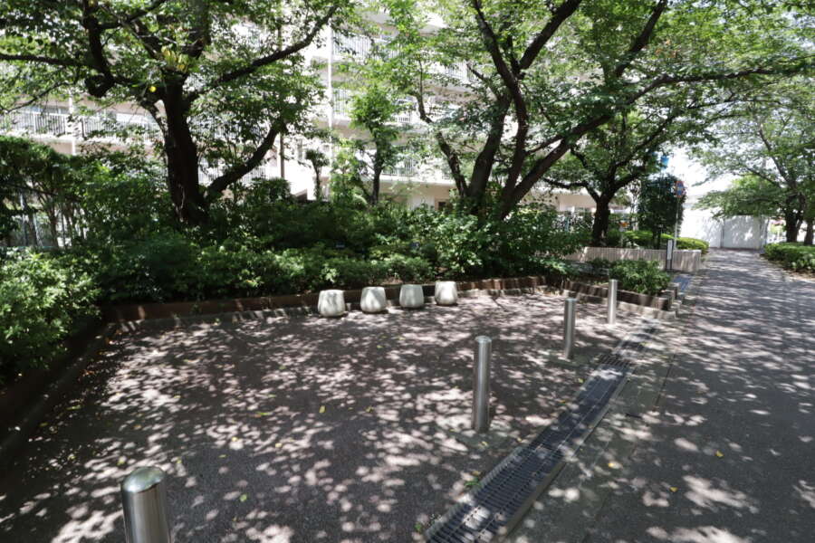 東急ドエルアルス千住周辺｜物件前の道路は並木道となっていて整備されています。憩いのスペースも用意されています。