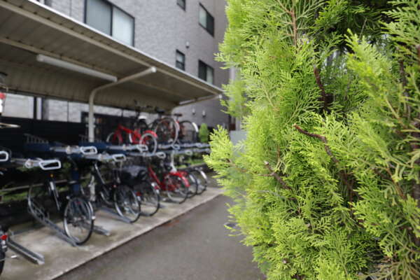 ミオカステーロ住吉南共用部2｜駐輪場などの共用部は北側にあります。