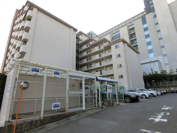 パイロットハウス東陽町外観6｜北側の外観です。駐車場などの共用部が配置されています。