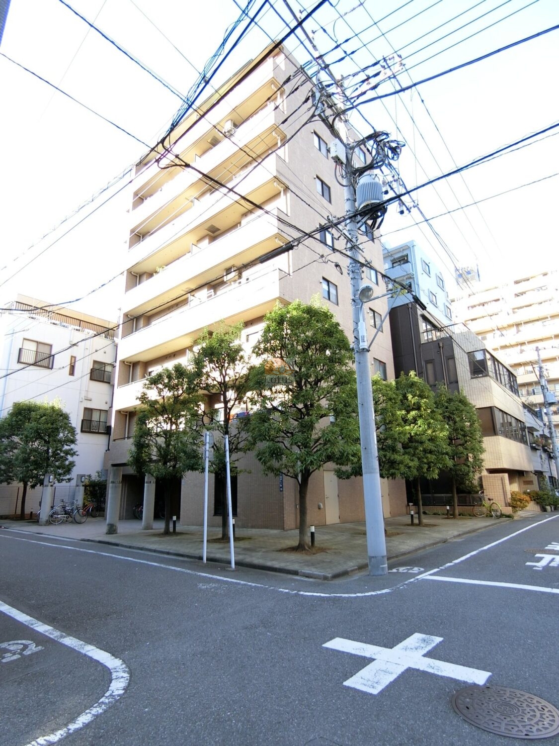 ベージュ系タイルの外観に、整ったバルコニーラインが映える建物です。入谷駅徒歩6分の中層マンションで、前面道路との距離が程よく、街路樹の緑がやわらかい影をつくっています。幹線道路から一歩入ることで、落ち着いた住環境が感じやすい立地です。