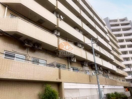 プレジデントハイツ根津外観３｜千代田線「根津」駅、「千駄木」駅が徒歩圏内です。