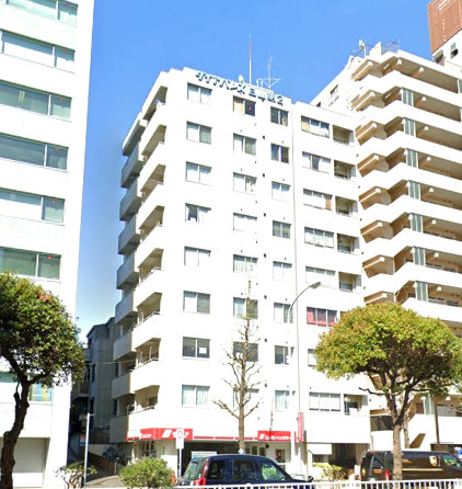 ダイアパレス白山第２外観１｜ダイアパレス白山第２は９階建てのマンションです。