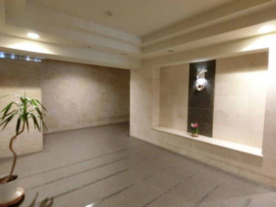 ナイスアーバン新中野外観共用部5｜少しゆったり目のエントランスです。小規模なマンションながら、落ち着いた演出になっていると思いました。