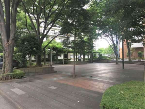 光が丘パークタウンいちょう通り八番街５号棟1｜敷地内は緑が多いです。