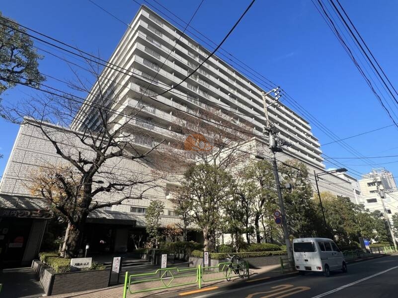 月島ホームズ外観５｜月島ホームズは１３階建てのマンションです。月島駅からもんじゃストリートを抜けてすぐです。北西側は隅田川に面した立地で、敷地は植栽もよく整備されています。