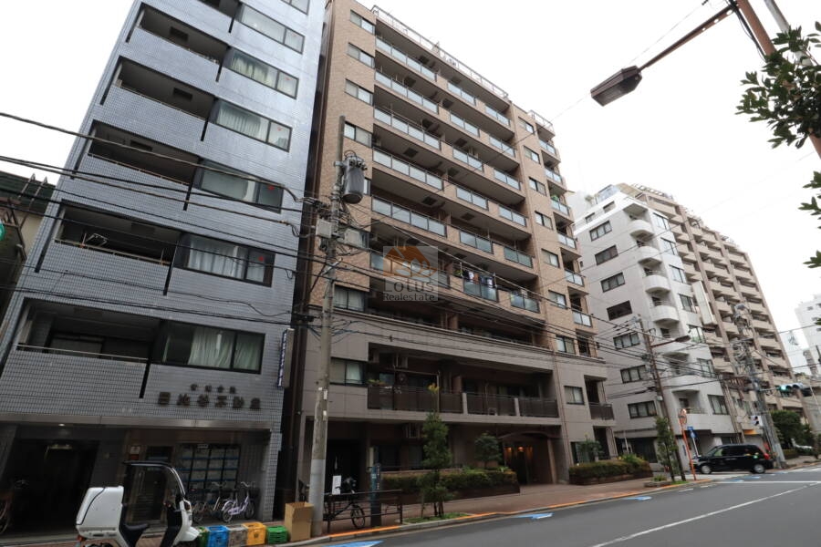 ニューイーストコート上野外観2｜東側は左衛門橋通りに立地します。