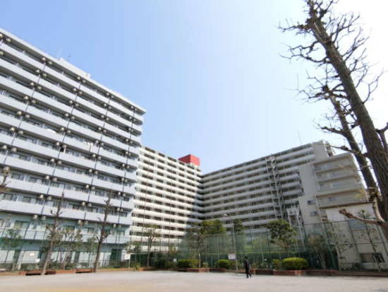 イトーピア住吉マンション外観共用部11｜マンションの北側は猿江二丁目公園という公園が隣接しています。