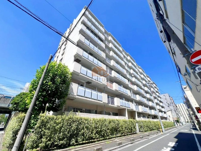 道路沿いの白系の外壁、歩道側には生垣が一直線に伸びています。両国緑スカイハイツは、昭和58年築、8階建てのマンションです。