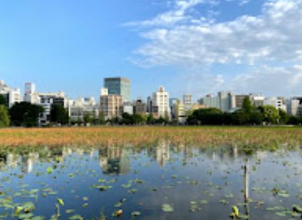 不忍池 (蓮池)｜徒歩4分に「不忍池 (蓮池)」があります。