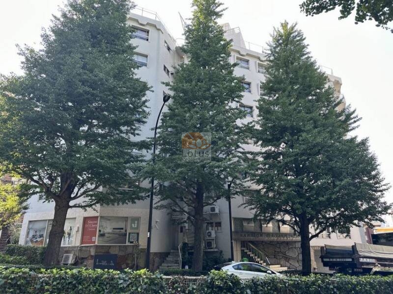 マンション白金苑外観６｜マンション白金苑は、プラチナ通り沿いにあります。