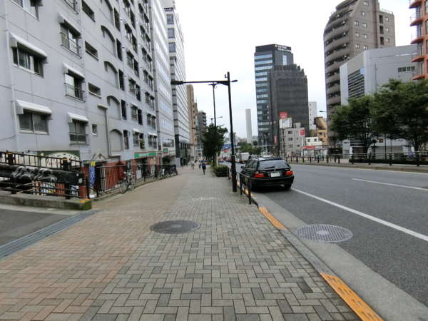 豊栄新都心マンション外観共用部5｜街路から北側に向かってみたところです。歩道も広めですのですっきりした印象を受けるロケーションでした。