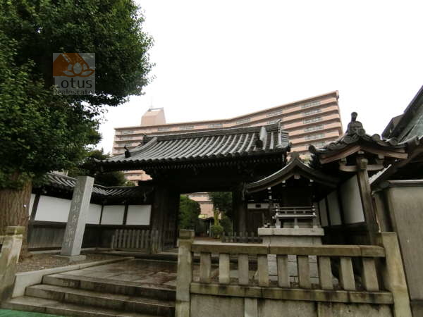 大雄山泊船軒｜マンションの目の前に大雄山・泊船軒の山門があります。立派な山門は落ち着いた雰囲気を漂わせています。