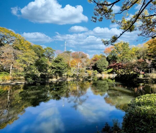 有栖川宮記念公園600｜徒歩6分に「有栖川宮記念公園」があります。
