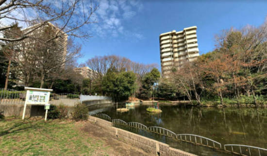 光が丘パークタウン春の風公園街-公園