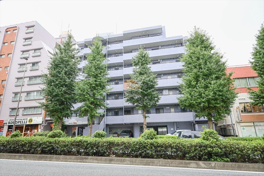 国道254号線沿いに建つ北側外観は、7階建て・総戸数28戸というスケールが街並みに対して過不足なく収まり、直線的なバルコニーラインが端正な印象です。植栽帯が道路と建物の間に設けられており、車の走行音をやわらかく受け止める距離感があります。交通量のある立地でありながら、視覚的には落ち着きが保たれている構成といえます。