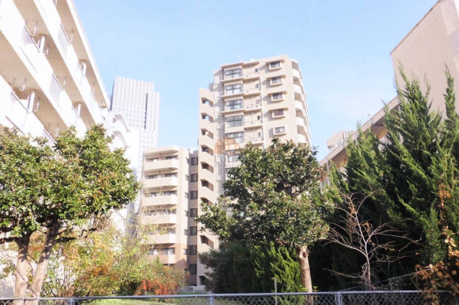 藤和シティホームズ代々木二丁目外観４｜藤和シティホームズ代々木二丁目は平成１２年完成、１３階建てのマンションです。