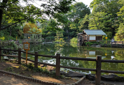 渋谷区立鍋島松濤公園｜「渋谷区立鍋島松濤公園」まで徒歩3分です。渋谷とは思えない静かな公園で、都心のアオシスです。水車があます。