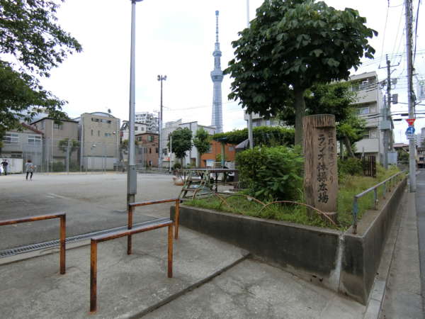 向島リリエンハイムアプローチ5｜公園の向こうにはスカイツリーも見えます。