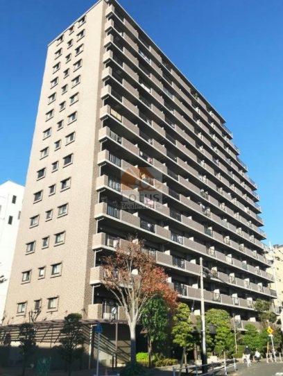 青砥東パーク・ホームズ外観６｜青砥東パークホームズは平成７年築、１５階建てのマンションです。
