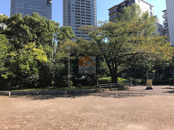 中央区立あかつき公園