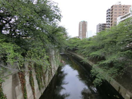 豊島区高田神田川