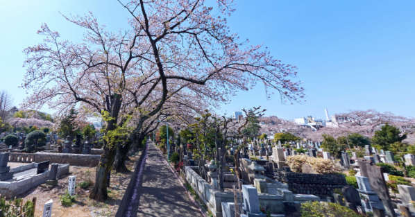 第３メゾンカタヤマー染井霊園１