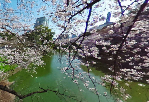 北の丸ビル近隣｜すぐ近くには桜の名所の千鳥ヶ淵があります。