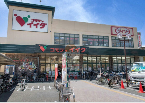 コモディイイダ 小菅店2 (1)