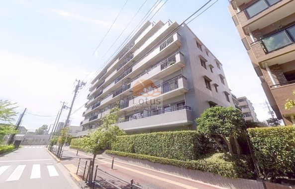 歩道に面した角側からの外観です。7階建の住棟に段状のバルコニーが連なり、黒系の手すりと庇が水平に並びます。前面には生垣と低木が続き、横断歩道、電柱と架線、舗装歩道が建物沿いに見えます。モア・ステージ北綾瀬は、平成7年築、7階建てのマンションです。