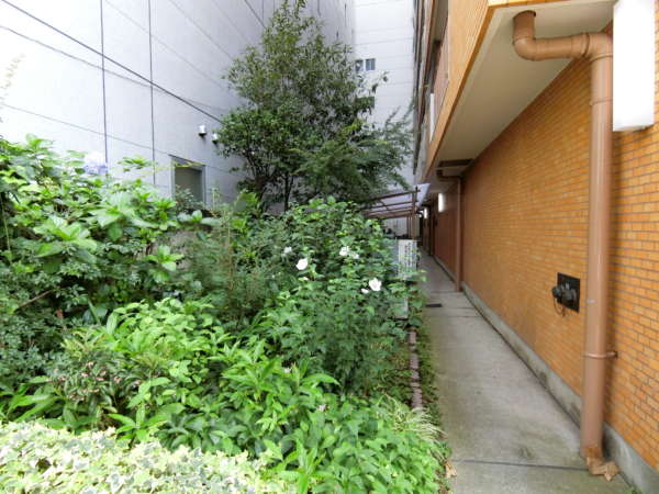 ライオンズプラザ亀戸外観共用部8｜共用部です。