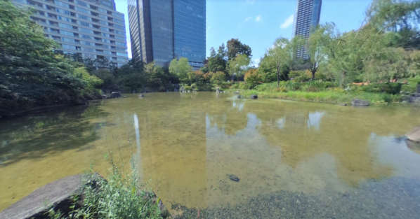 秀和赤坂レジデンス-檜町公園１｜檜町公園には池があります。