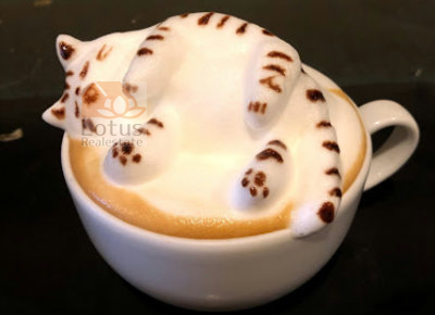 HATCOFFEE2｜「HATCOFFEE」まで徒歩１分です。ラテアートがすごいカフェです。好きな絵やキャラクターをオーダーして書いてもらえます。