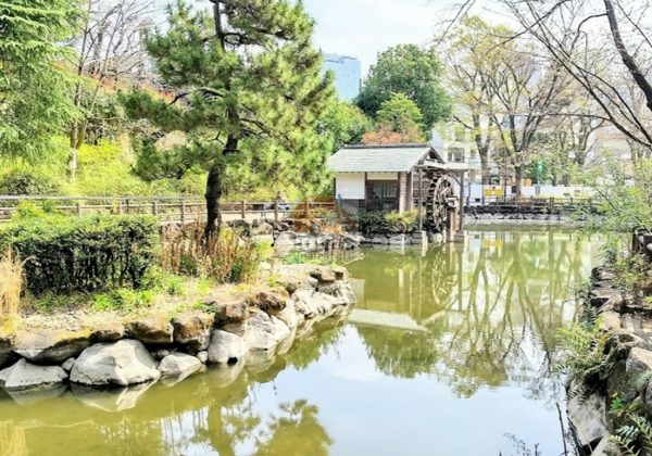 渋谷区立鍋島松濤公園600｜徒歩2分に「渋谷区立鍋島松濤公園」があります。
