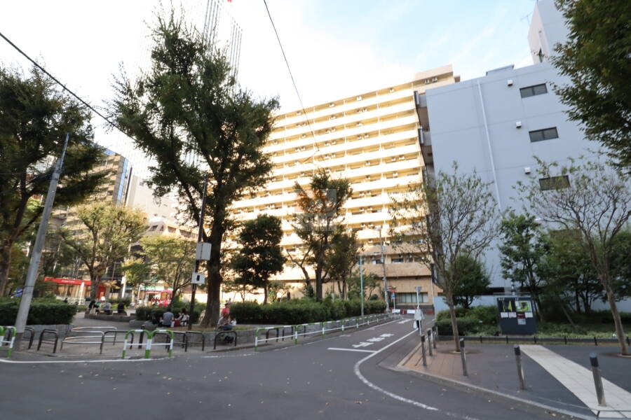 ライオンズプラザ池袋外観1｜ライオンズプラザ池袋は１４階建てのマンションです。