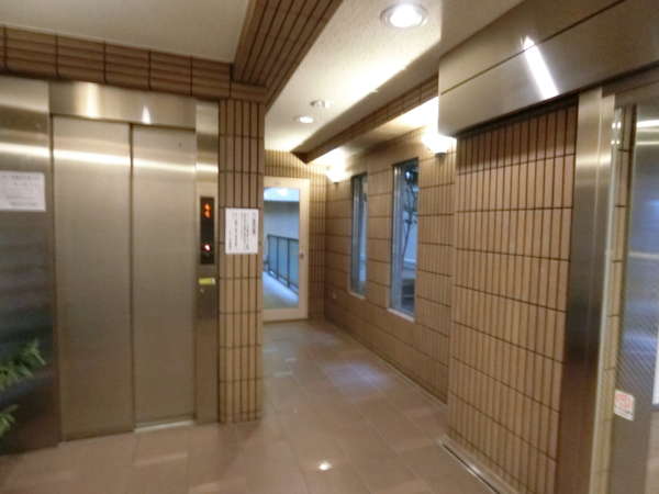 レジェンド平井外観共用部3｜エントランスの内側はこじんまりとしていますが整然としています。