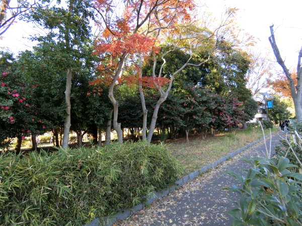 ニックハイム東陽町第２アプローチ6｜公園沿いを歩きますと・・・