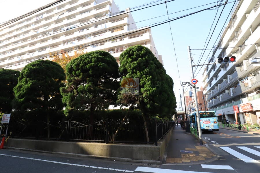 月島四丁目住宅外観3｜大規模マンションです。