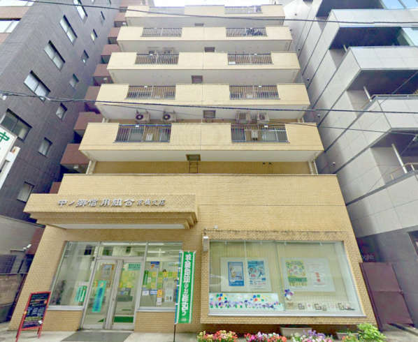 ライオンズマンション新富町外観１｜外観です。