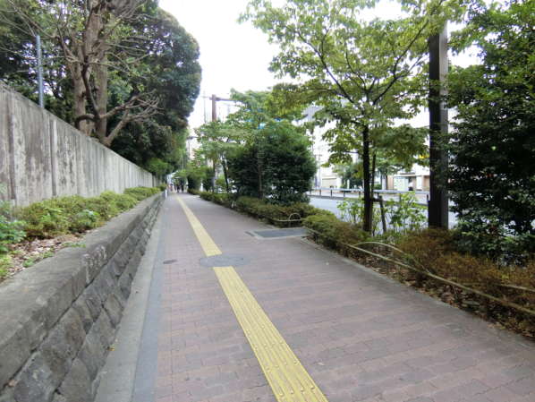 ライオンズマンション文京第２アプローチ4｜植栽で整備された街路を進みます。