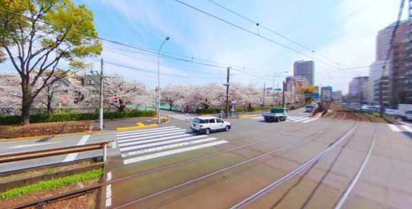 ライオンズマンション西早稲田-全面道路｜新目白通りです。春には神田川の桜がみえます。