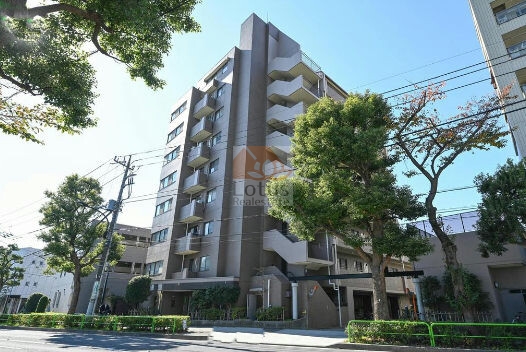 ヴィルヌーブ光が丘公園外観５｜ヴィルヌーブ光が丘公園は平成5年築、9階建てのマンションです。