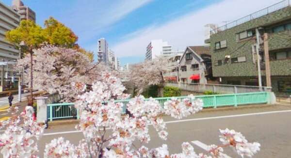 面影橋の桜｜神田川に架かる面影橋です。