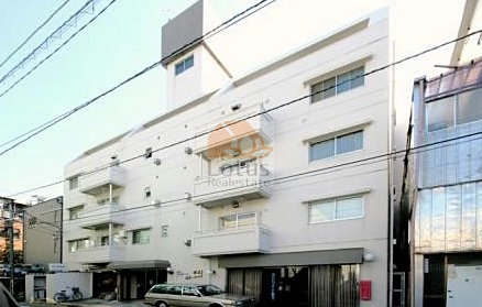 ェルドミール緑町の外観全景。白を基調とした5階建てのRC造で、シンプルながらも整ったファサードが印象的。エリアに馴染む静かな街並みに位置し、小規模ならではの落ち着いた住環境を形成しています。