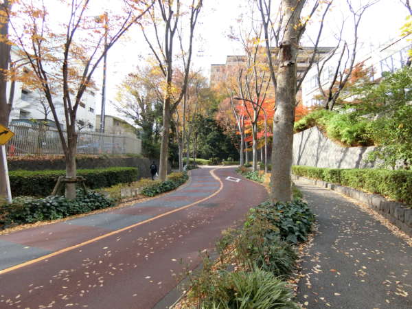 ライオンズマンション西麻布第２アプローチ3｜右折すると並木道を少しづつ上がっていきます。広尾ガーデンヒルズに通じる道路です。ライオンズマンション西麻布第２も高台に位置しています。