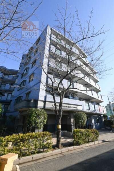 セザールリバーサイド王子神谷は平成１０年築、６階建てのマンションです。東側には順天学園新田キャンパスがグラウンドがあります。南側は隅田川です。